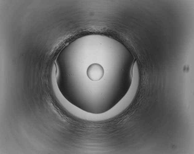 X0000114390688200911061515