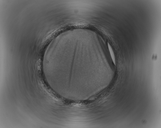 X0000114390689200911061515
