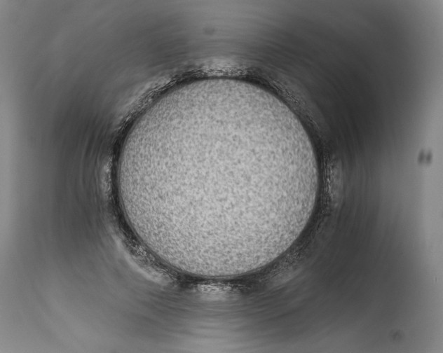 X0000114390690200911061515