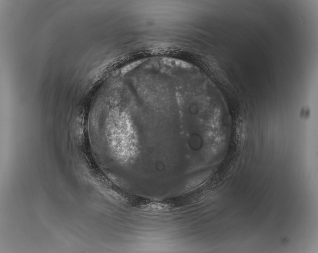 X0000114390691200911061515