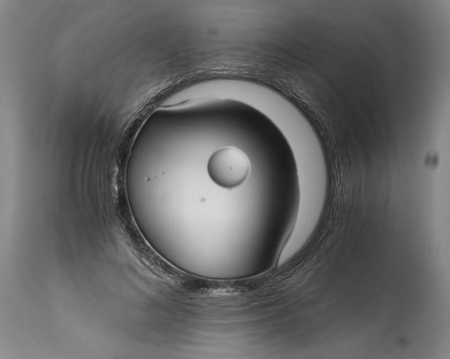 X0000114390692200911061515