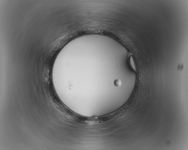 X0000114390693200911061515