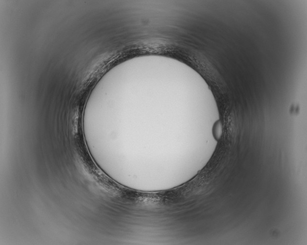 X0000114390694200911061515