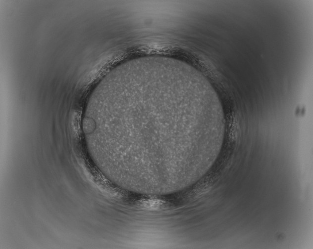 X0000114390695200911061515