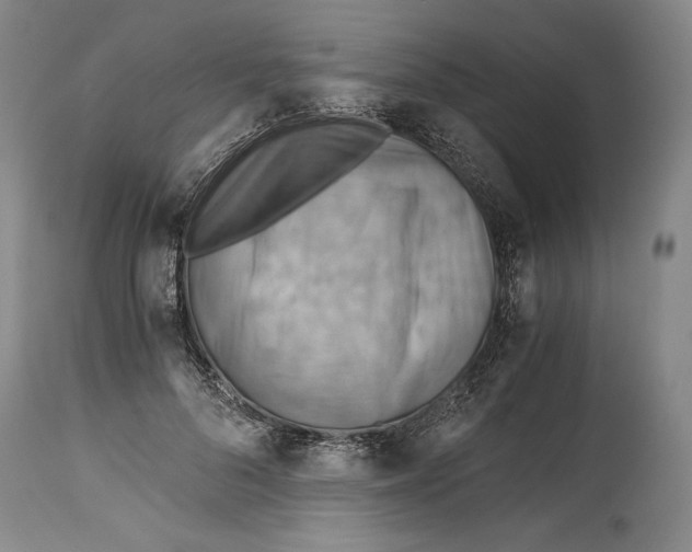 X0000114390696200911061515