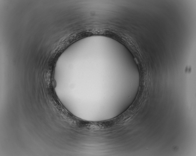 X0000114390697200911061515