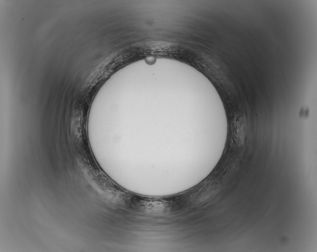 X0000114390698200911061515