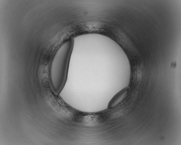 X0000114390700200911061515