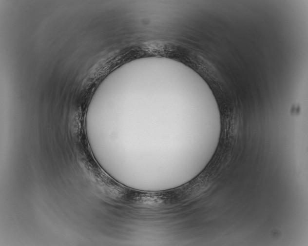 X0000114390702200911061515