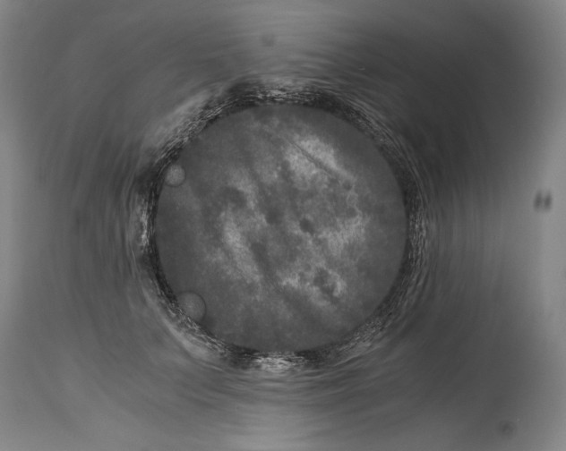 X0000114390703200911061515