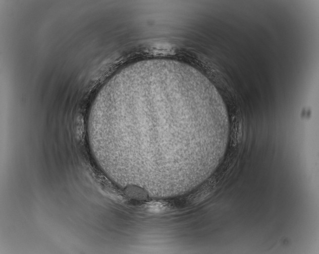 X0000114390704200911061515