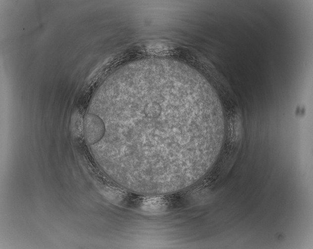 X0000114390705200911061515