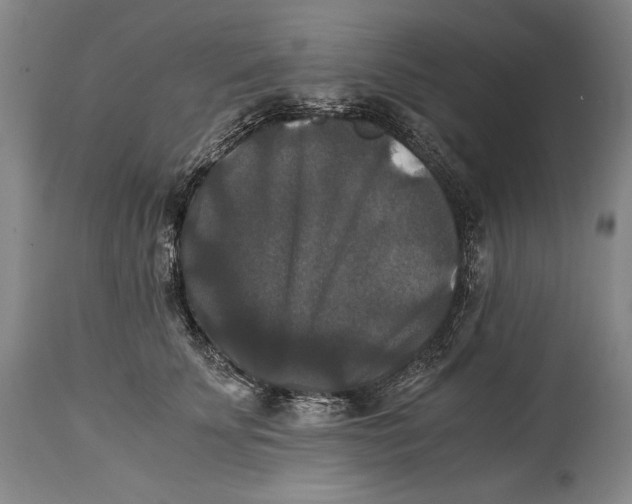X0000114390707200911061515