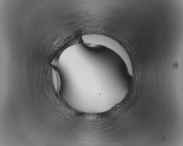 X0000114390709200911061515