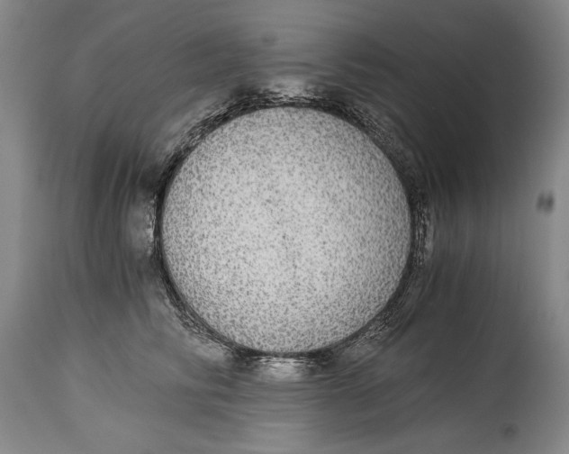 X0000114390710200911061514