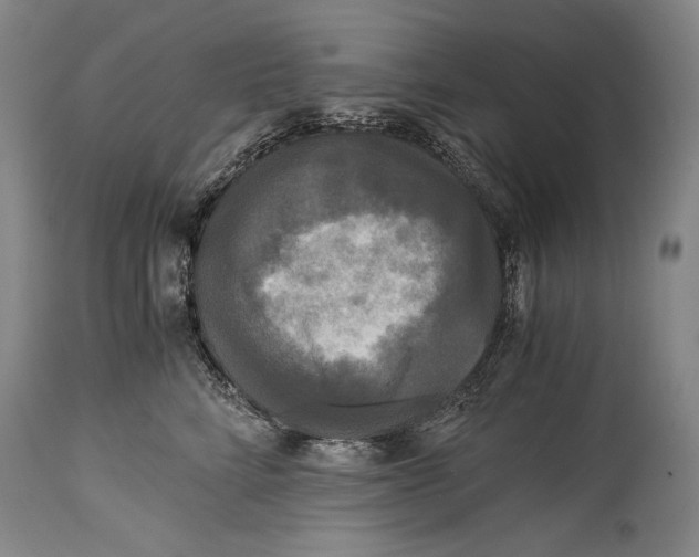 X0000114390712200911061514