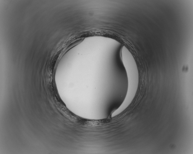 X0000114390713200911061514