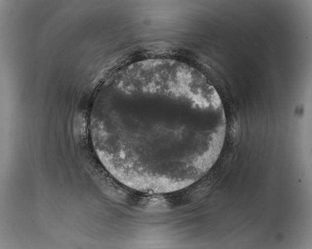 X0000114390715200911061514