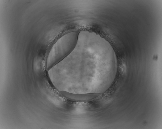 X0000114390716200911061514