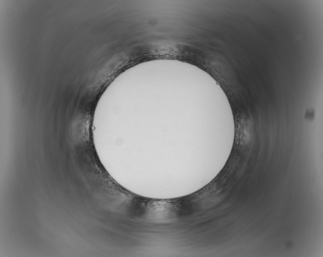 X0000114390717200911061514