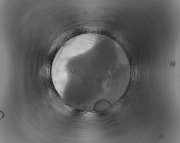 X0000114390718200911061514