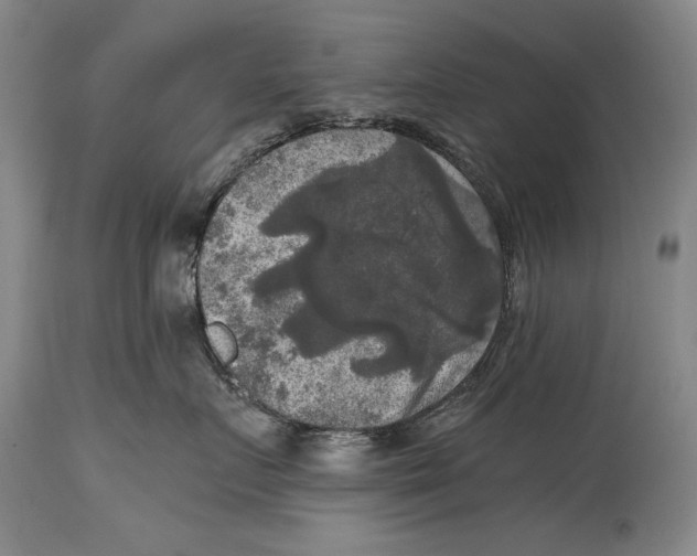X0000114390719200911061514