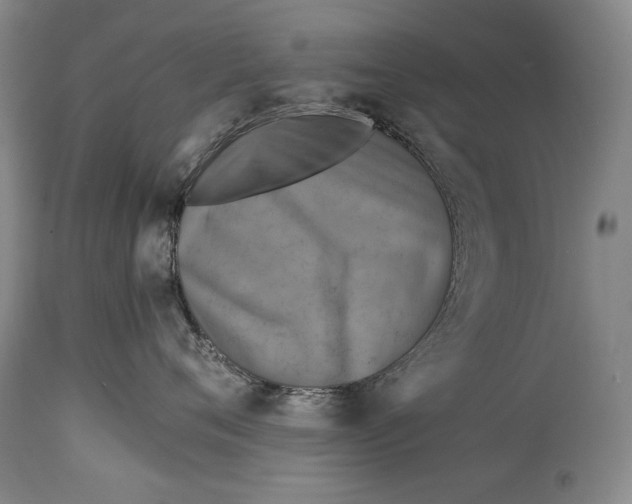 X0000114390720200911061514