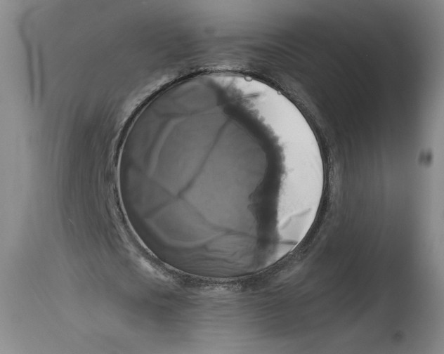 X0000114390721200911061514