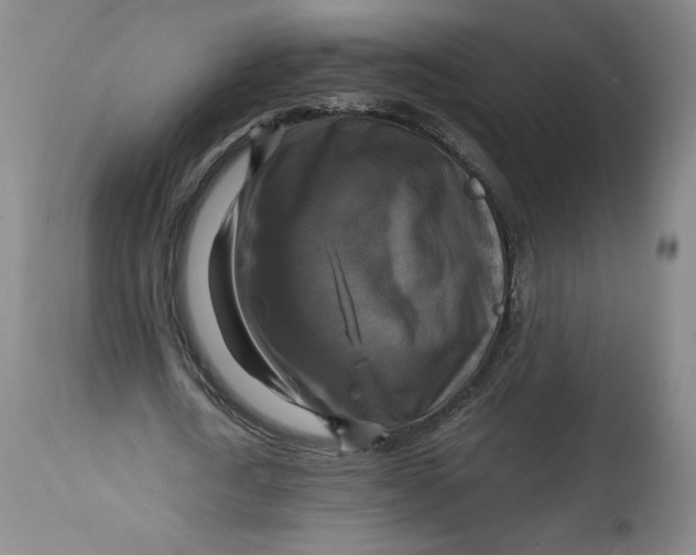 X0000114390722200911061514