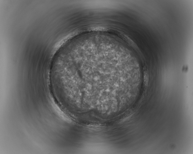 X0000114390725200911061514