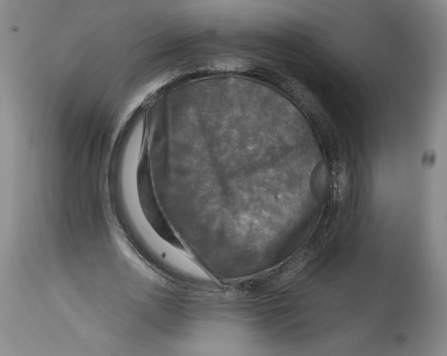 X0000114390726200911061514