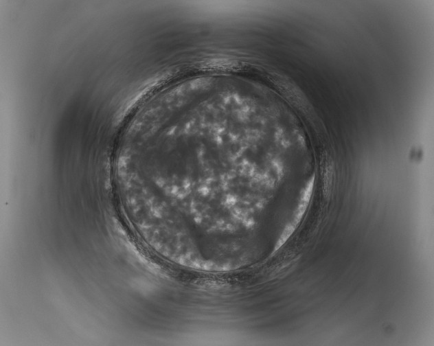 X0000114390729200911061514