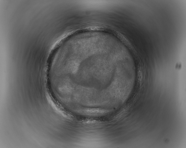 X0000114390730200911061514