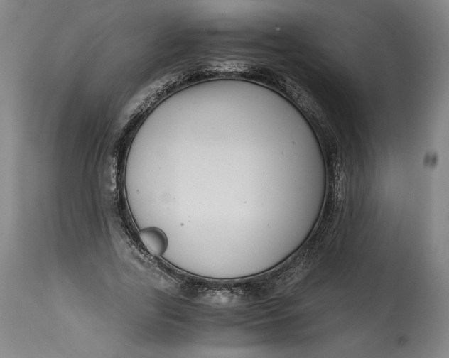 X0000114390731200911061514