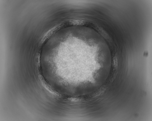 X0000114390733200911061514