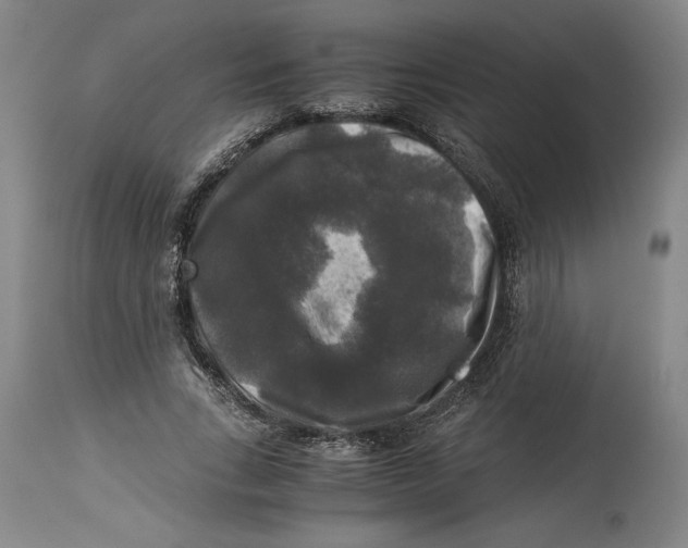 X0000114390735200911061514