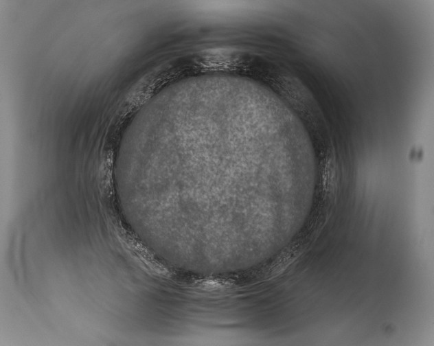 X0000114390737200911061514