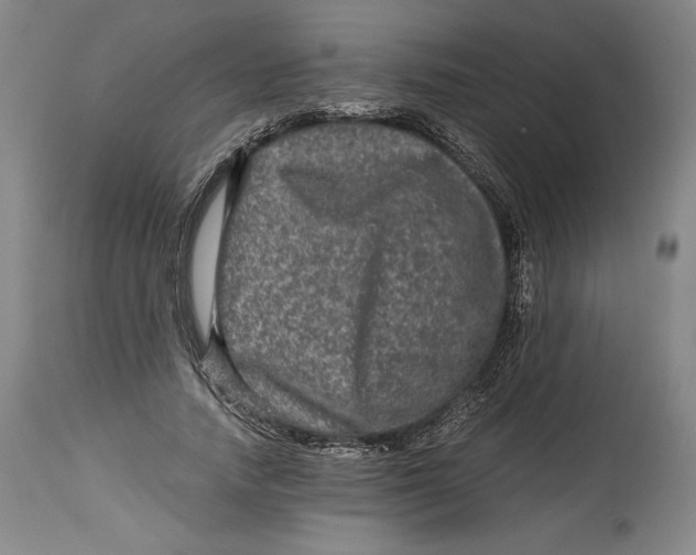 X0000114390738200911061514