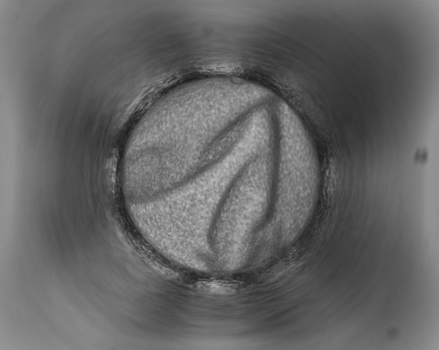 X0000114390739200911061514
