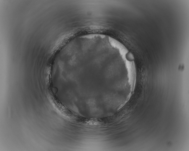 X0000114390742200911061514