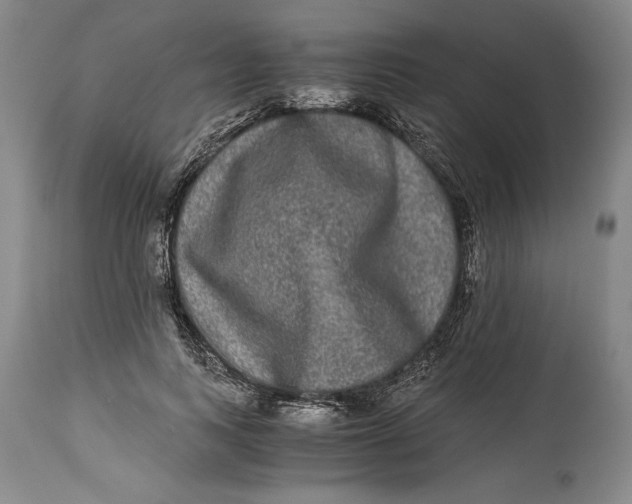 X0000114390743200911061514
