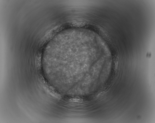 X0000114390745200911061514