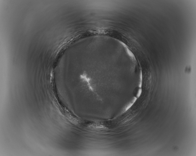 X0000114390747200911061514