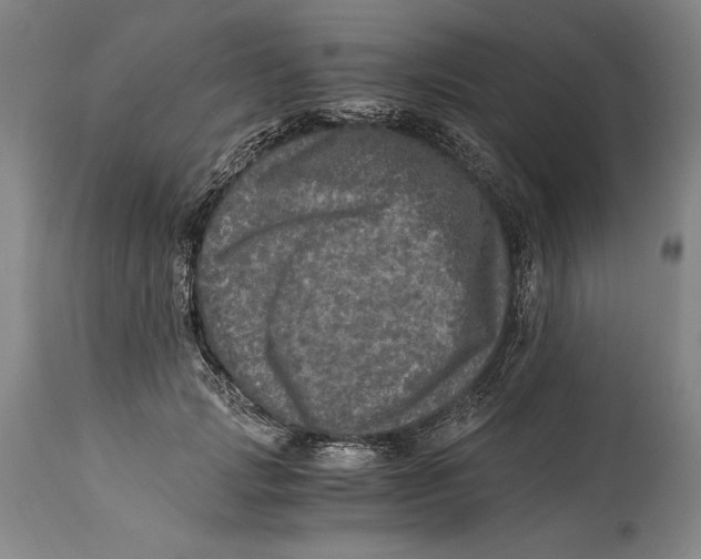 X0000114390749200911061514
