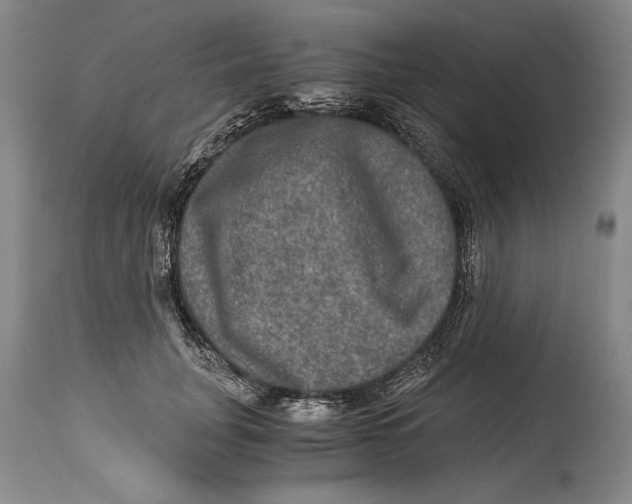 X0000114390751200911061514