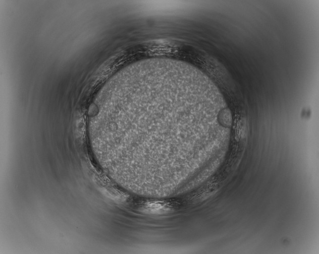 X0000114390753200911061514