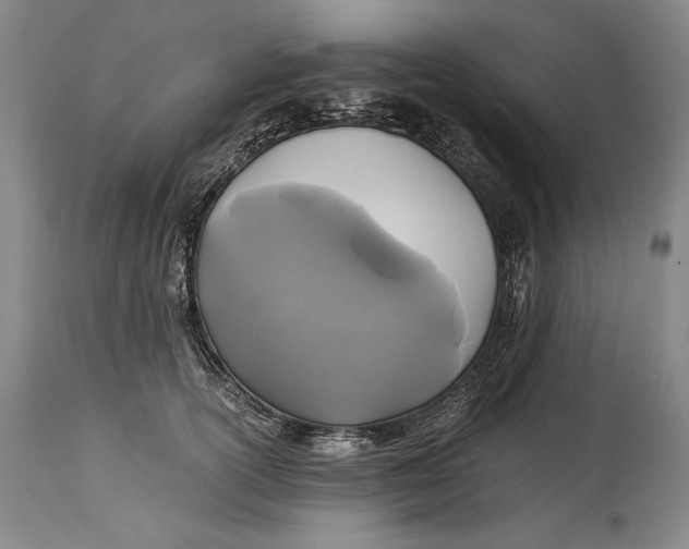 X0000114390754200911061514