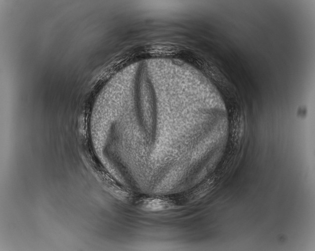 X0000114390755200911061514