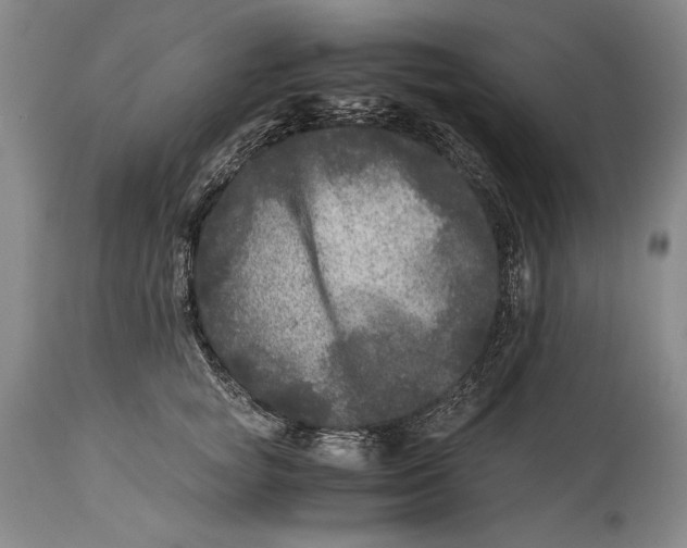 X0000114390757200911061514