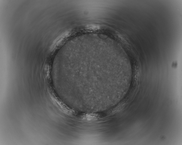 X0000114390758200911061514
